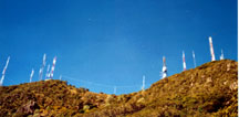antennae